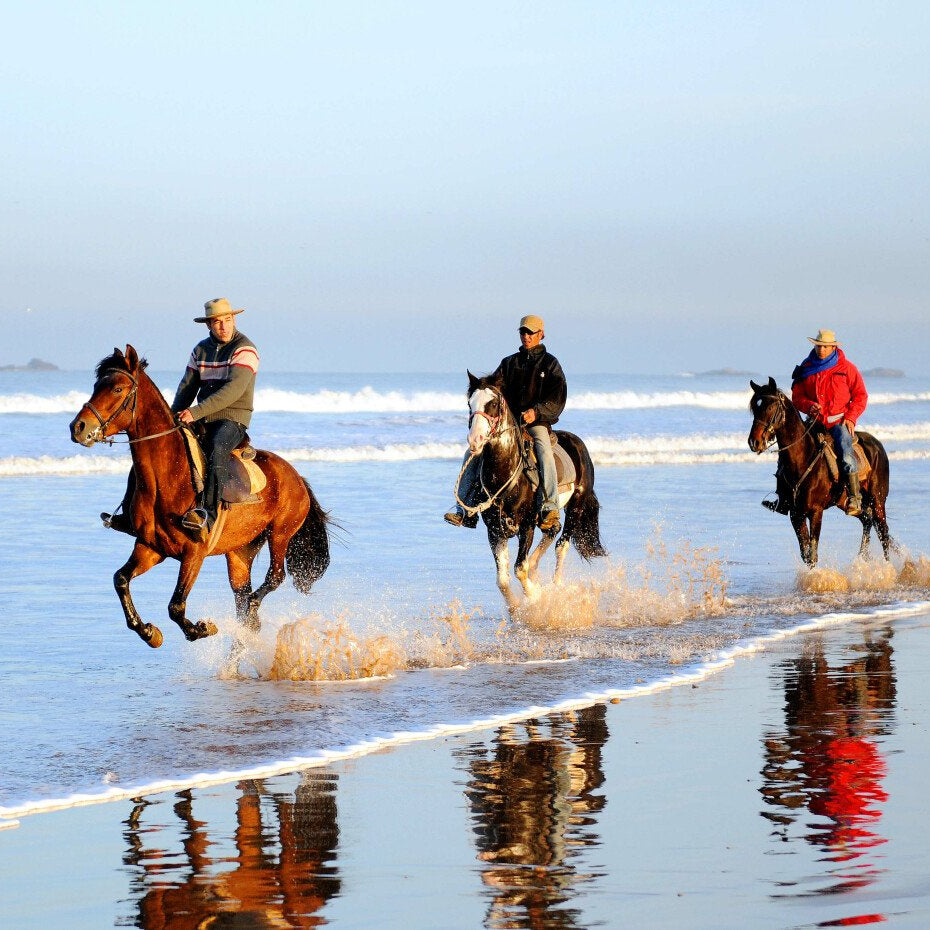 Balade à cheval de deux heures
