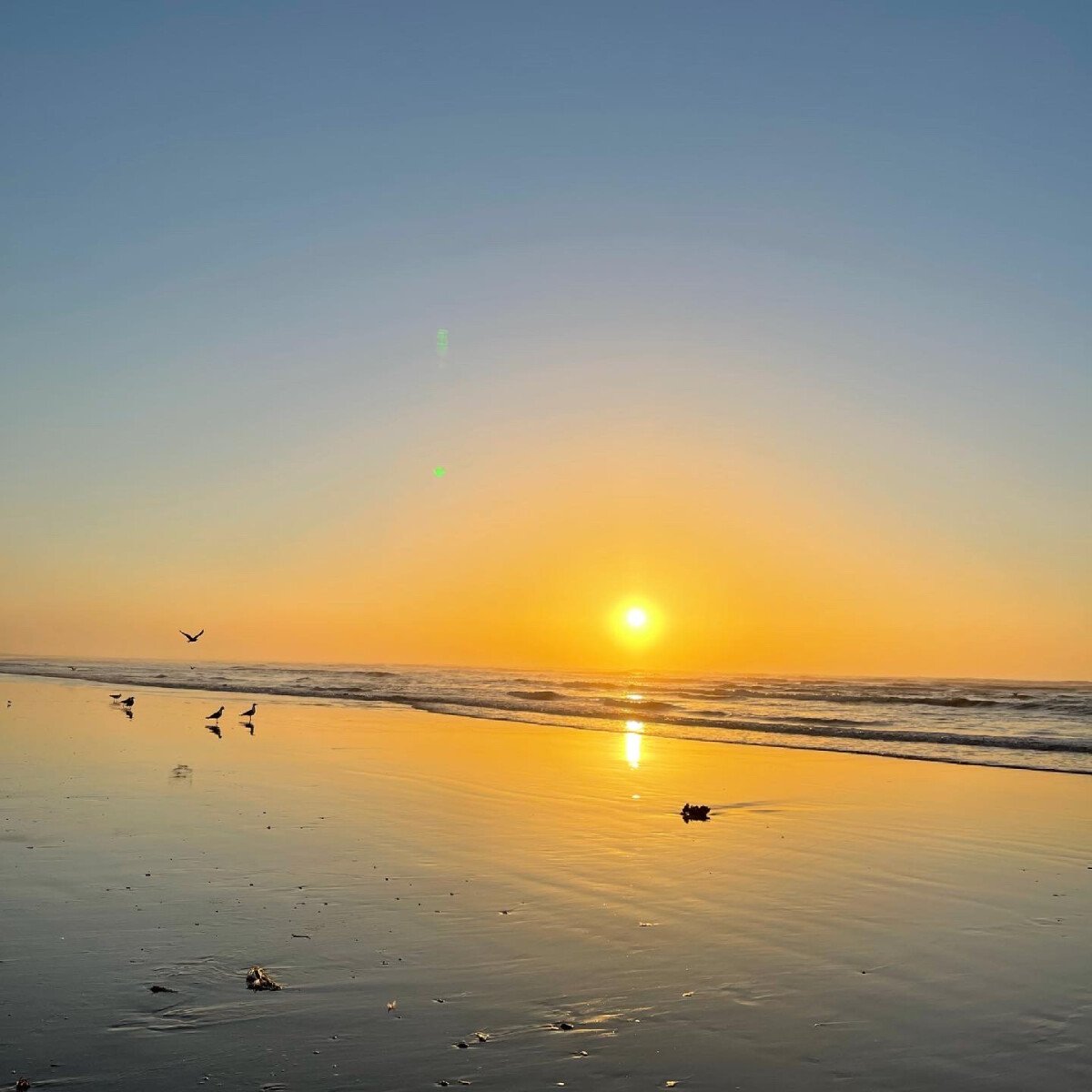 Balade à cheval de 2 heures au coucher du soleil sur la plage