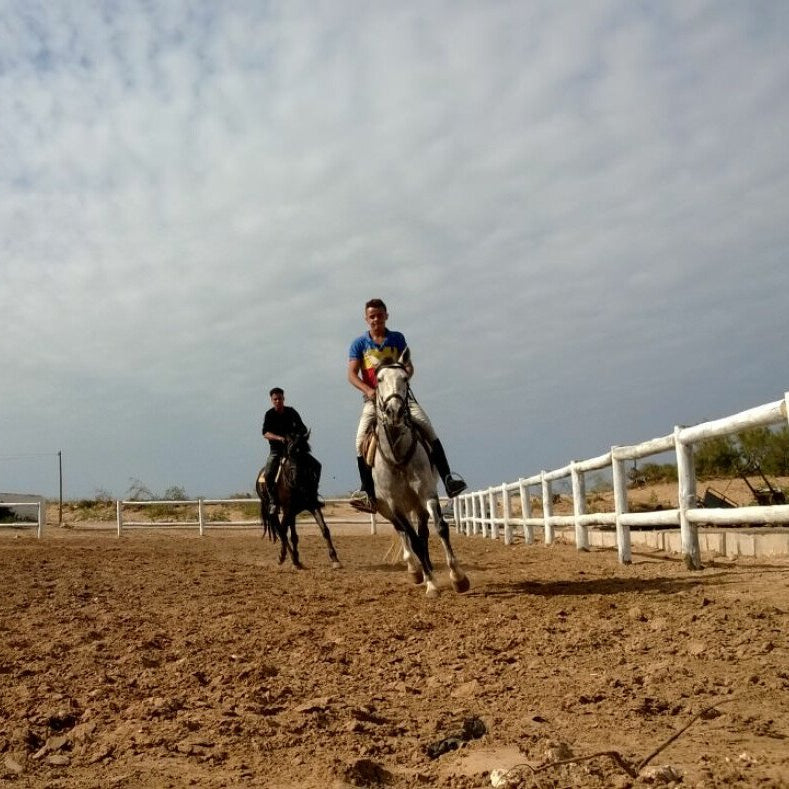 10 leçons d'équitation
