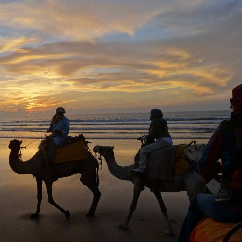 Excursion à dos de dromadaire avec nuit sous tente berbère