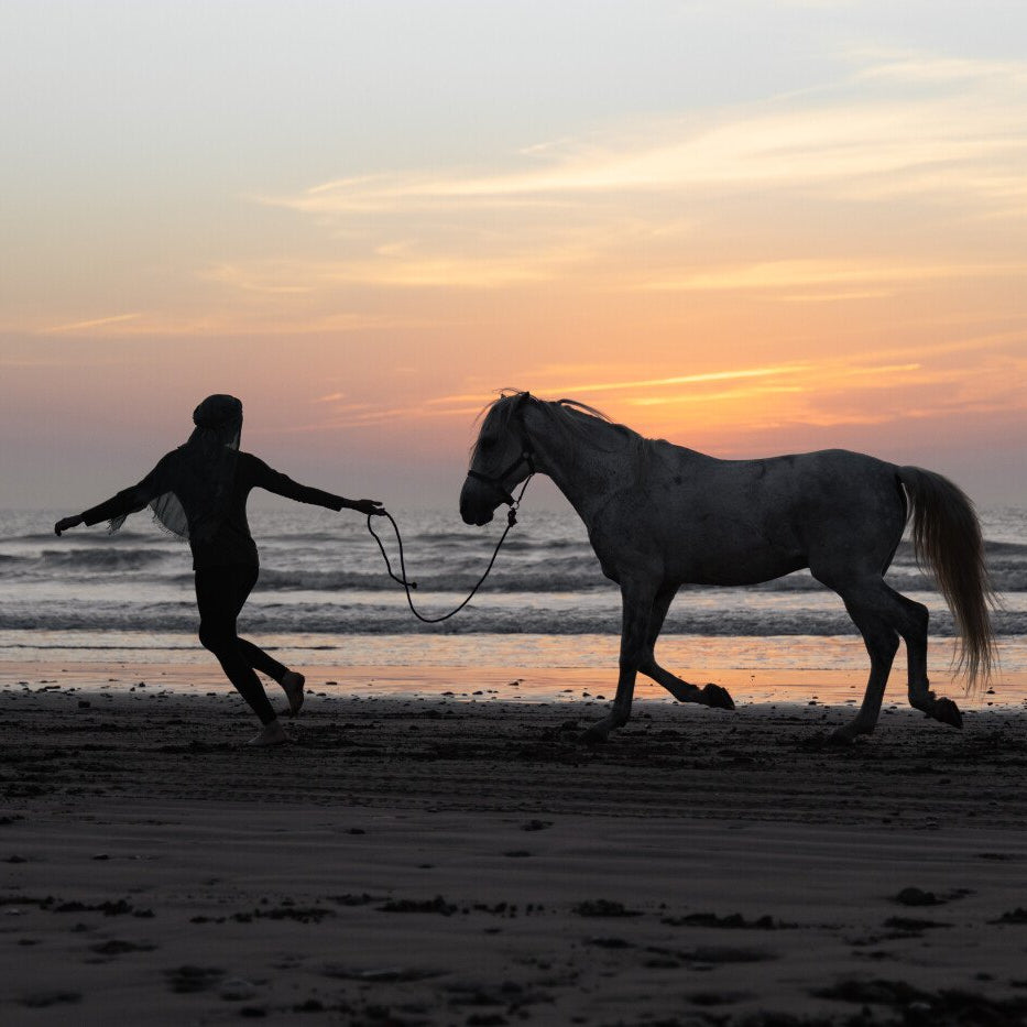 Einstündiger Ausritt