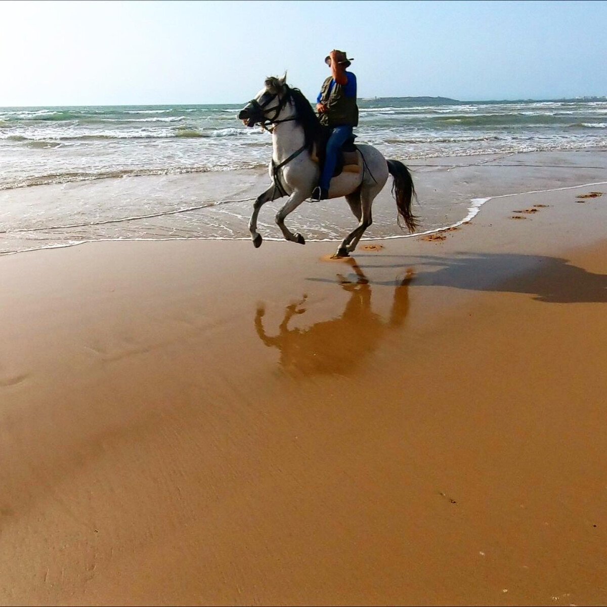 Balade à cheval de 2 heures au coucher du soleil sur la plage