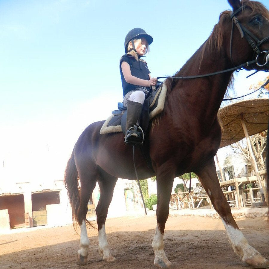 10 leçons d'équitation