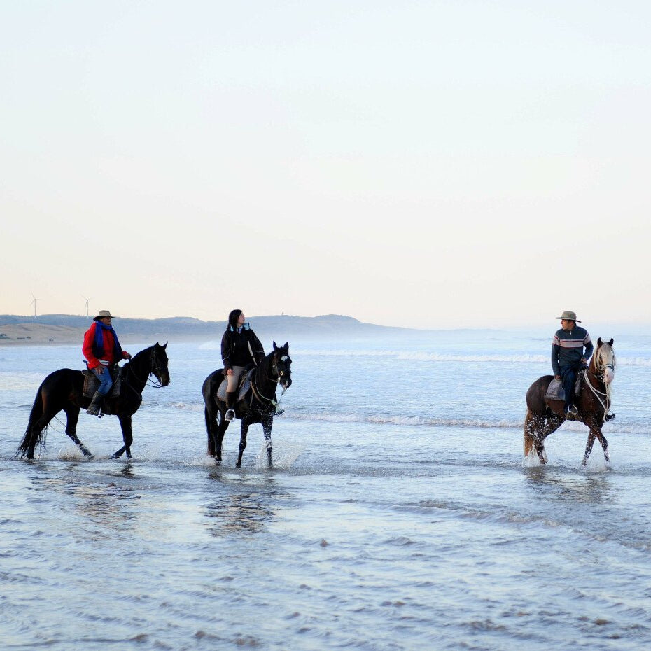 Balade à cheval de deux heures