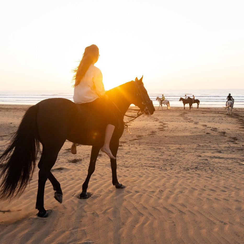 Randonnée à cheval avec nuitée