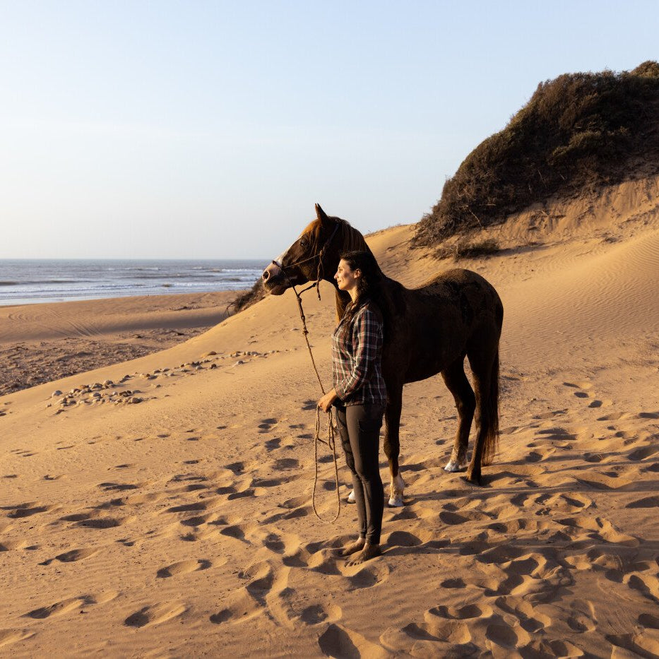 Balade à cheval d'une heure