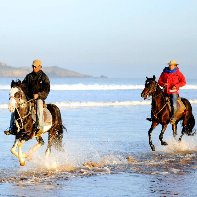 Balade à cheval de deux heures
