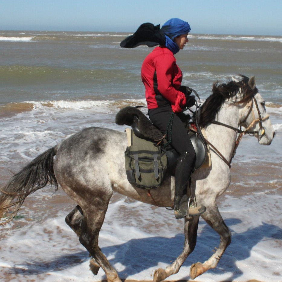 Balade à cheval de 2 heures au coucher du soleil sur la plage