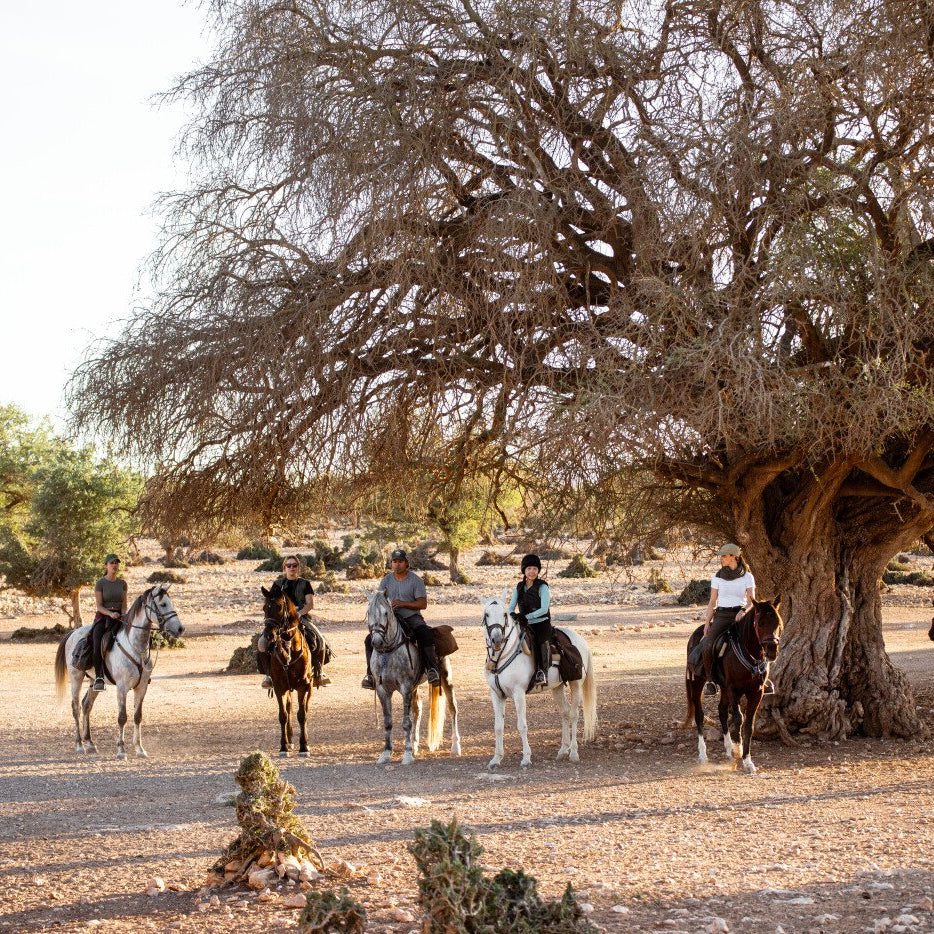 Balade à cheval avec déjeuner