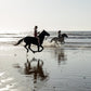 Balade à cheval de deux heures