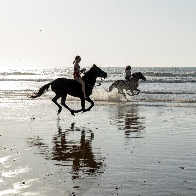Balade à cheval de deux heures