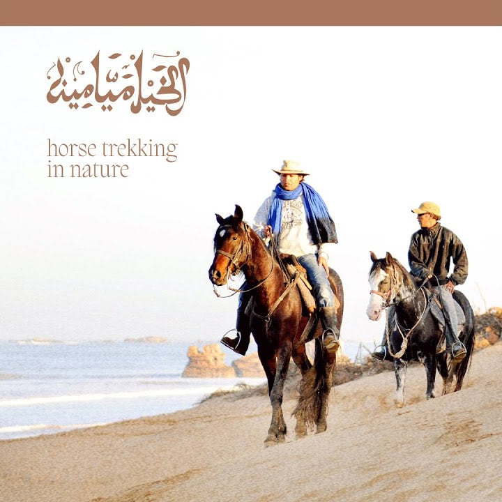 Balade à cheval d'une heure