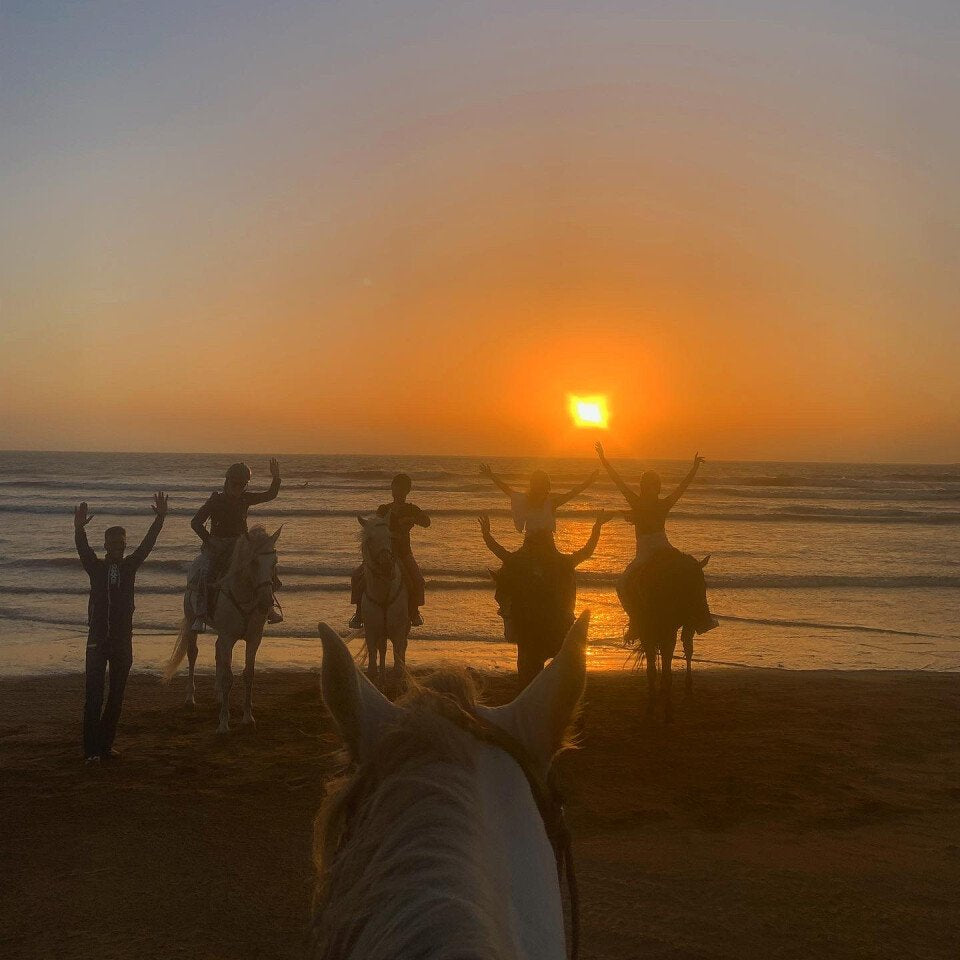 Balade à cheval de 2 heures au coucher du soleil sur la plage