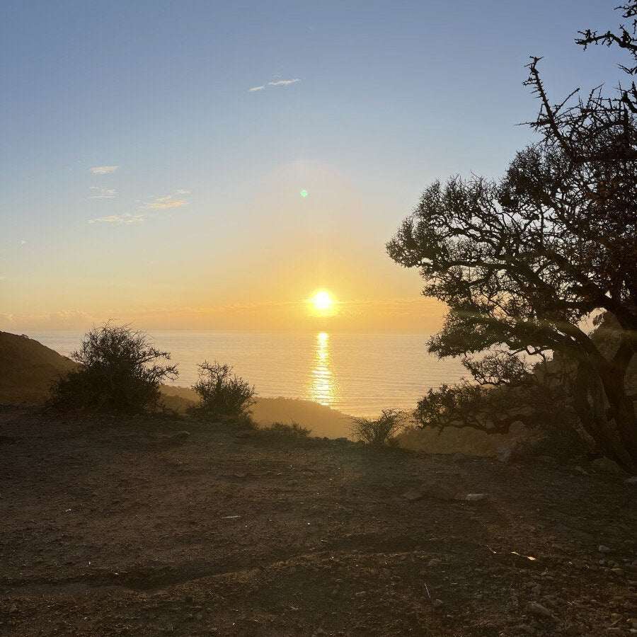 Balade à cheval d'une heure au coucher du soleil en bord de mer