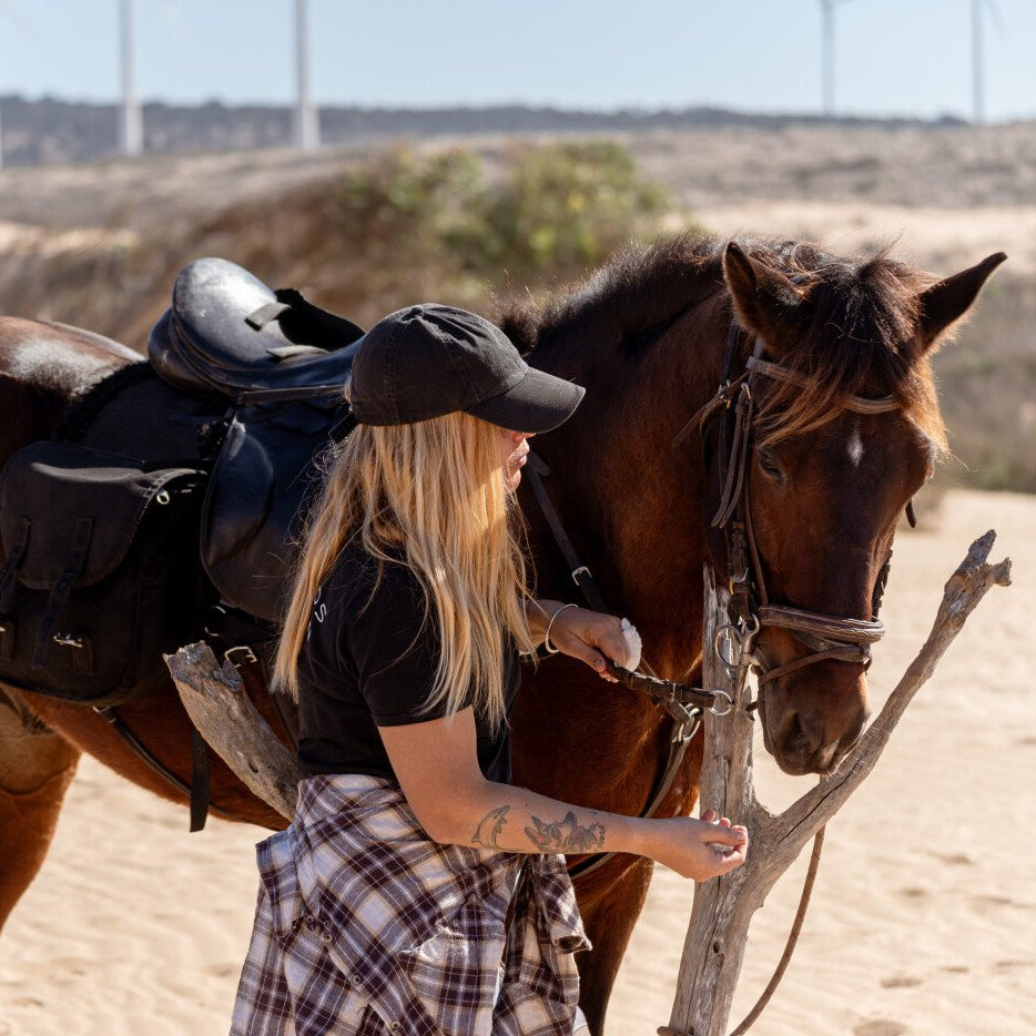 Balade à cheval avec déjeuner