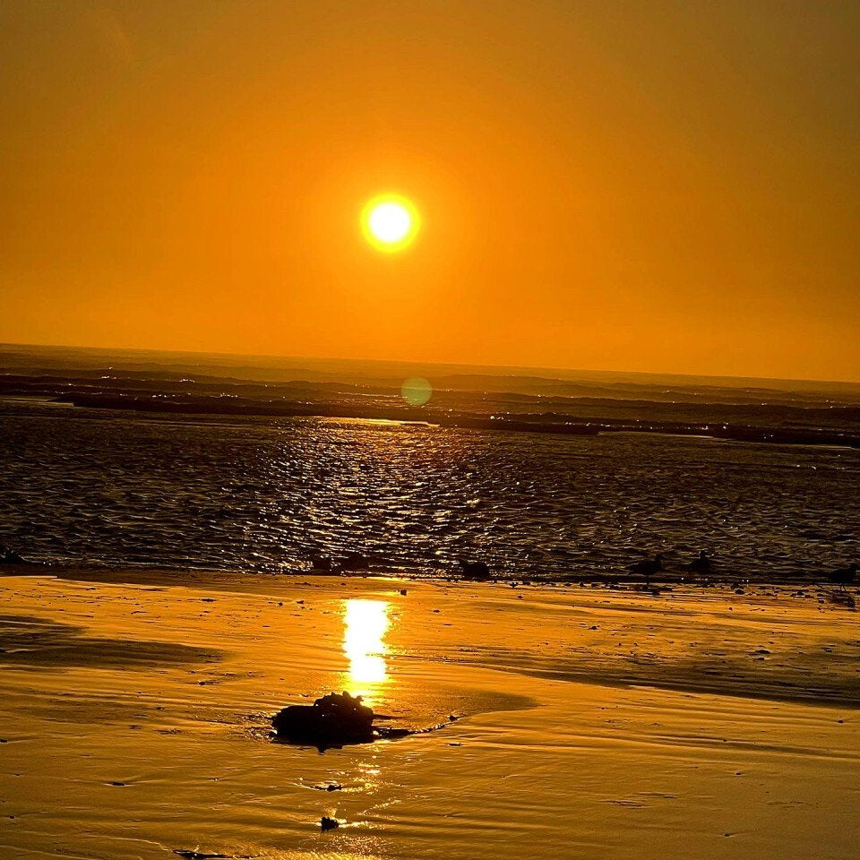 Balade à cheval de 2 heures au coucher du soleil sur la plage