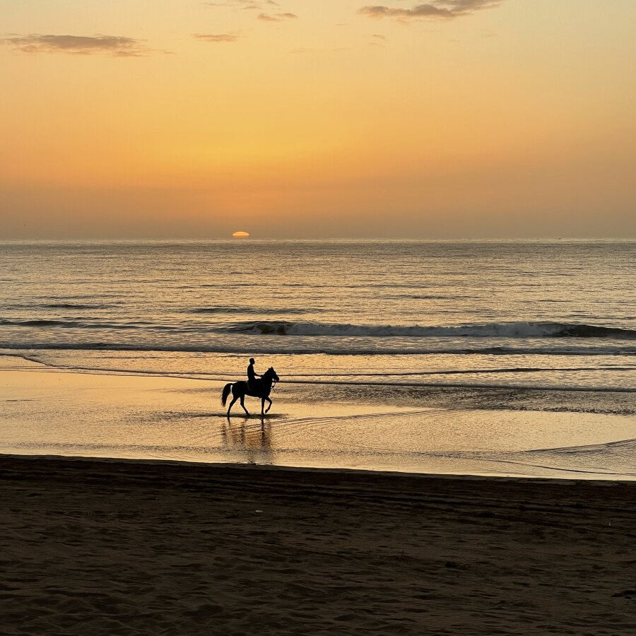 Balade à cheval d'une heure au coucher du soleil en bord de mer