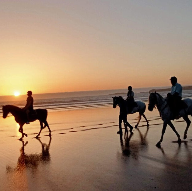 Balade à cheval d'une heure au coucher du soleil en bord de mer