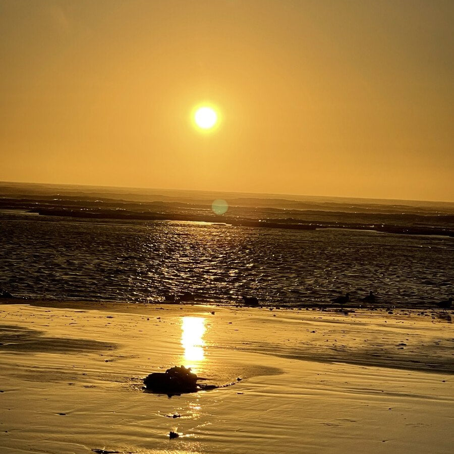 Balade à cheval de 2 heures au coucher du soleil sur la plage
