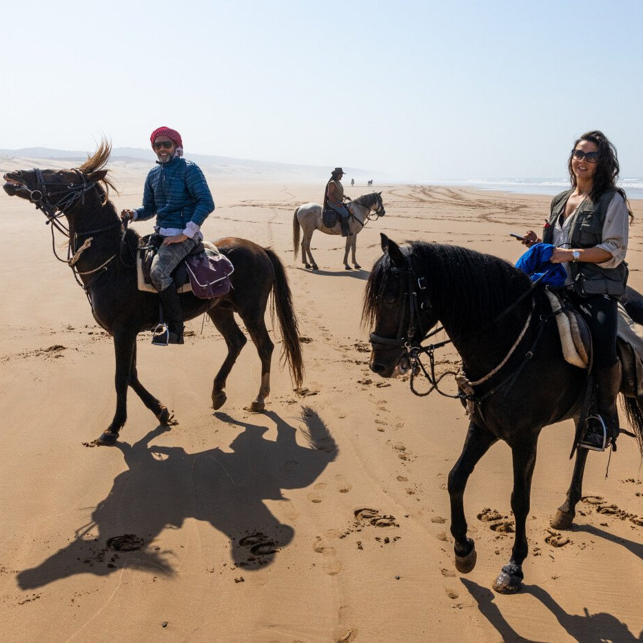 Balade à cheval avec déjeuner