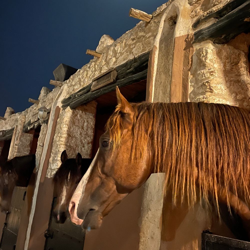 Cena privata di Gruppo con musica Gnawa