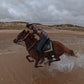 Essaouira Adventure & Relaxation