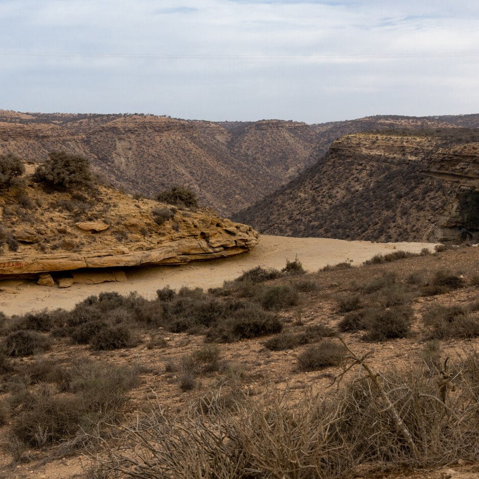 Argan Trek