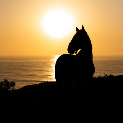 3 Giorni e 2 Notti a Cavallo