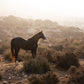 3 jours et 2 nuits à cheval