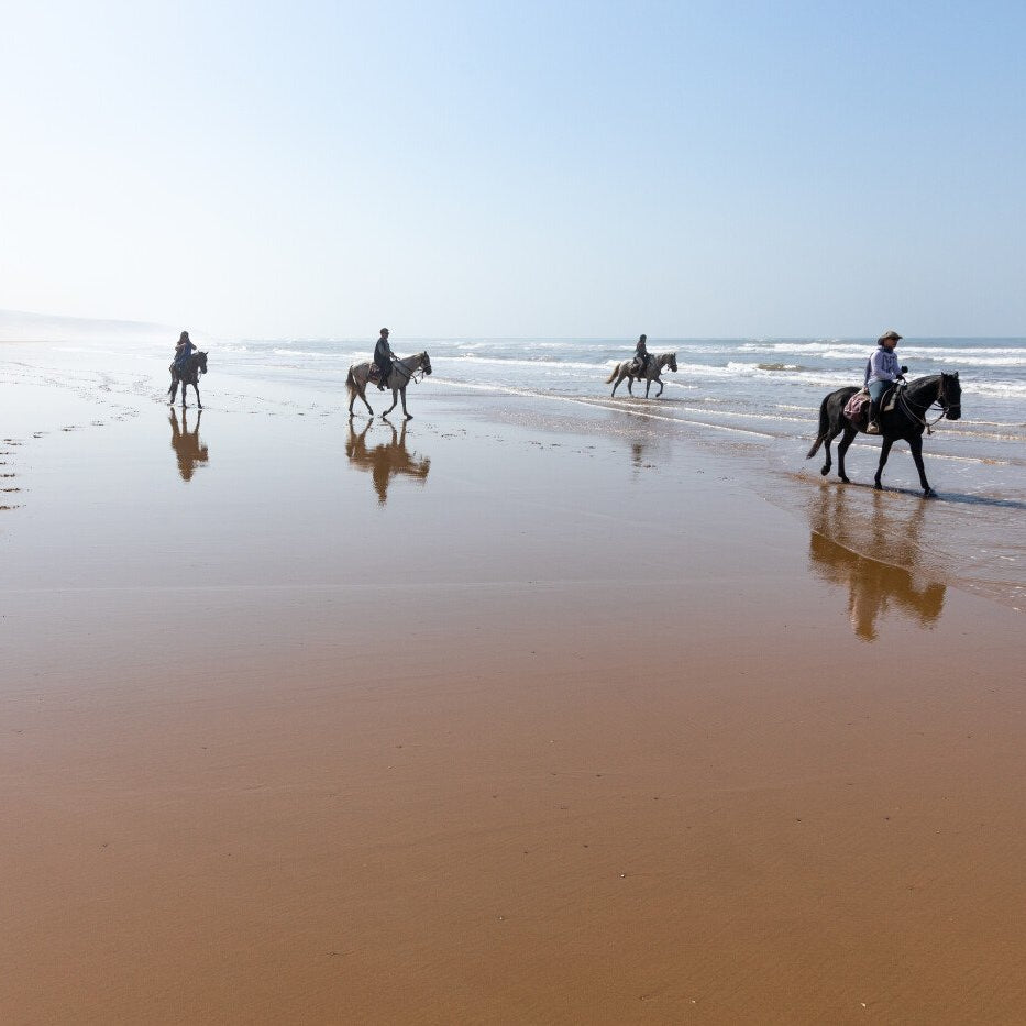 Randonnée sur la côte atlantique