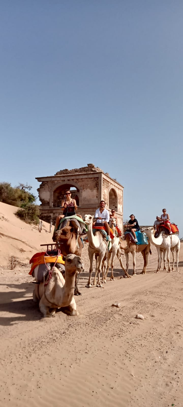 Rituale del tè in spiaggia al tramonto