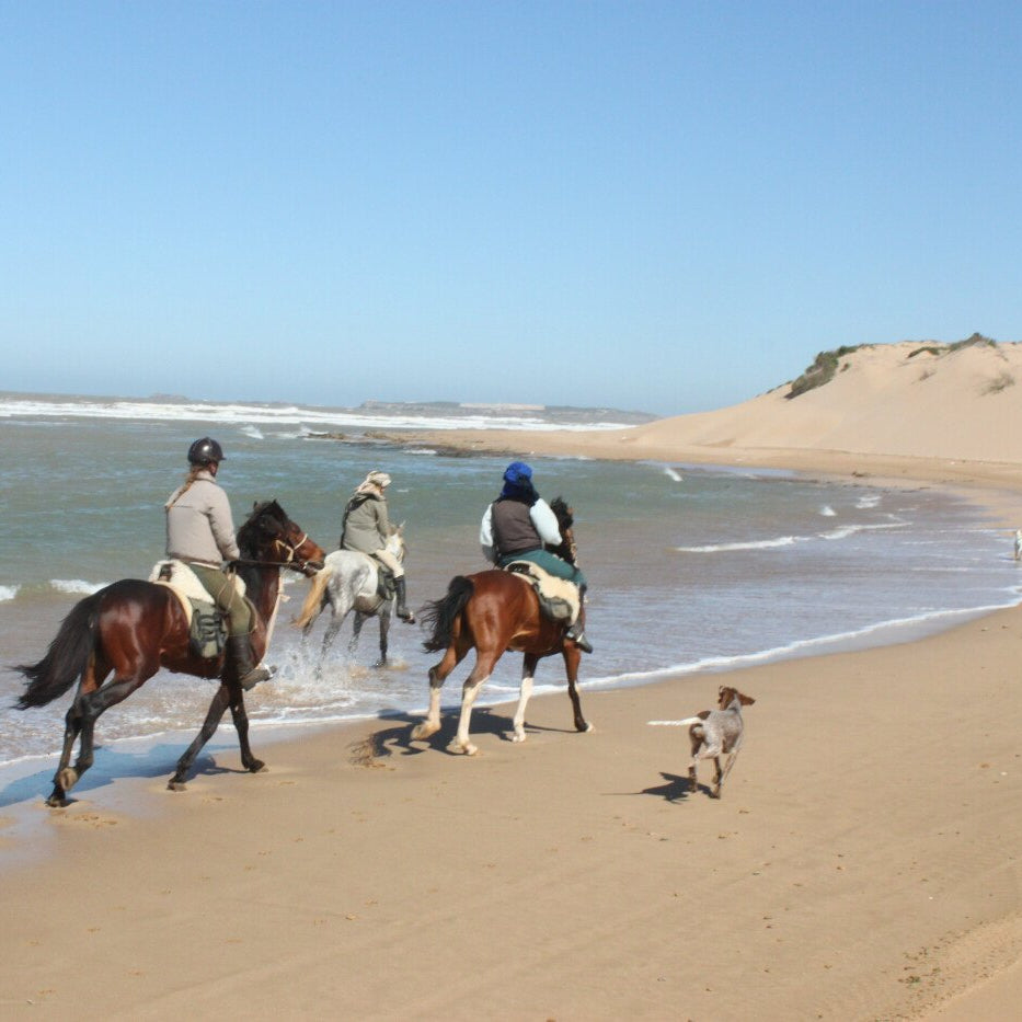 Randonnée dans l'Arganier