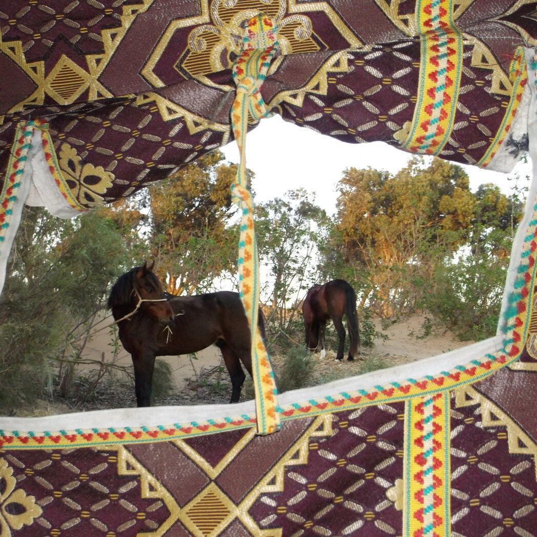 Argan Trek