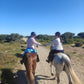 Surfen & Reiten in der Villa