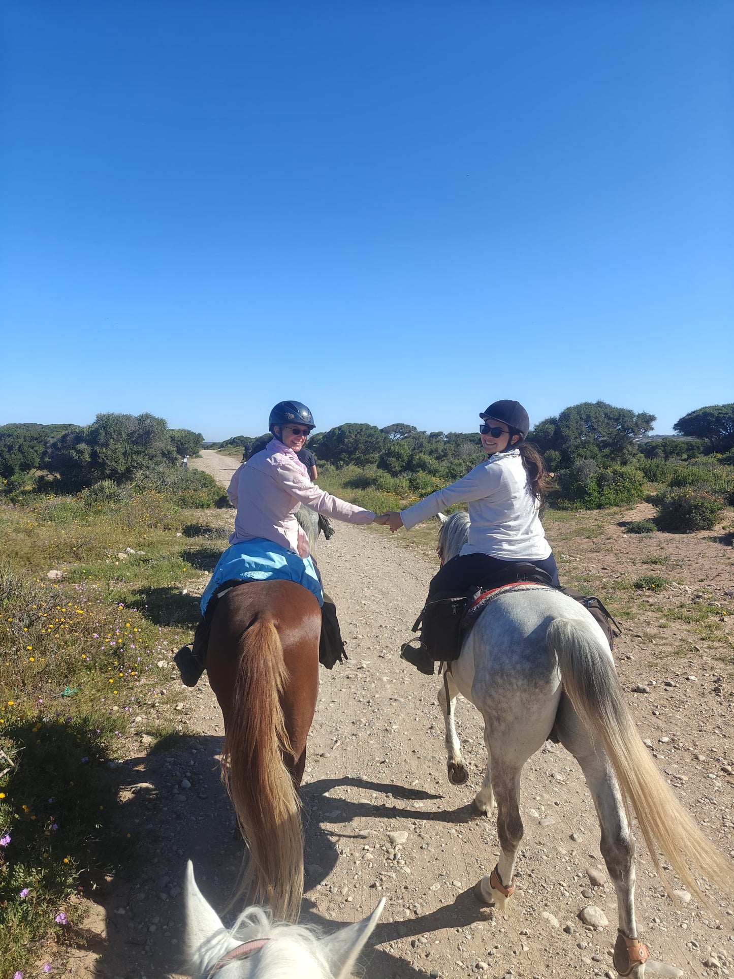 Surfen & Reiten in der Villa