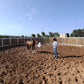 MAROCCO HORSEMANSHIP TRAINING CAMP