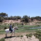 MAROCCO HORSEMANSHIP TRAINING CAMP
