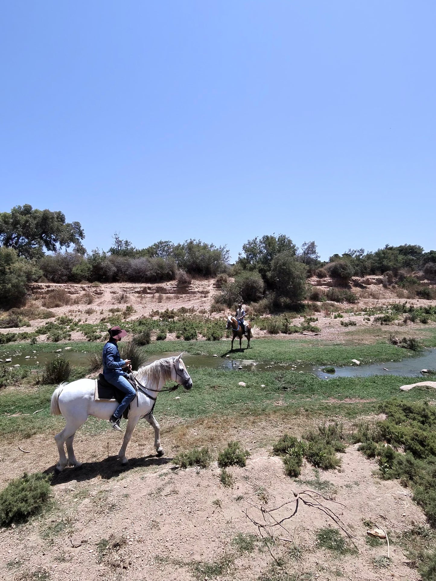 MAROCCO HORSEMANSHIP TRAINING CAMP