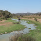 MAROCCO HORSEMANSHIP TRAINING CAMP