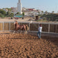 MAROCCO HORSEMANSHIP TRAINING CAMP