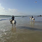 MAROCCO HORSEMANSHIP TRAINING CAMP