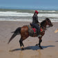 Surfen & Reiten in der Villa