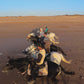 MAROCCO HORSEMANSHIP TRAINING CAMP