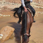 Special Program: Horseback Trekking between Essaouira and the Ocean