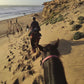 Special Program: Horseback Trekking between Essaouira and the Ocean