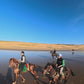 Special Program: Horseback Trekking between Essaouira and the Ocean