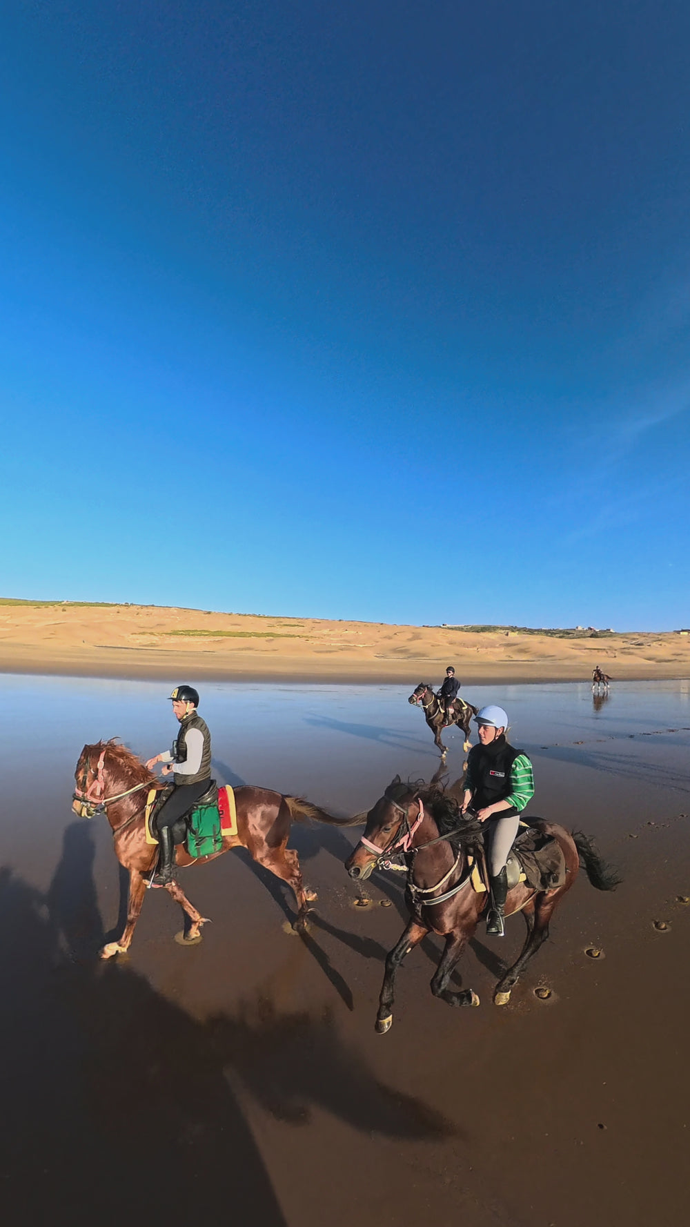 Spezialprogramm: Wanderritt zu Pferd zwischen Essaouira und dem Ozean