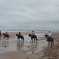 Surfen & Reiten in der Villa