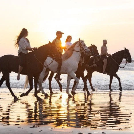 Beginner Riders Morocco – Dalle Basi al Trekking Equestre