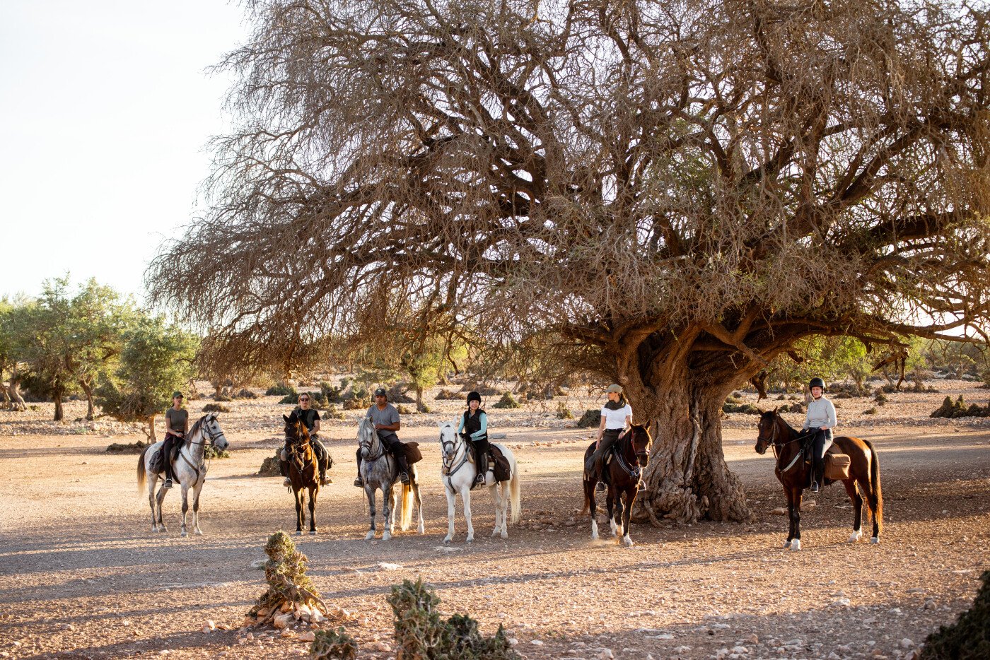 1 day Horse Ride with lunch